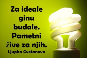 12509112_980174208729889_8706497048195629495_n