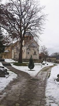 12516255_1007340169323311_1891966236_n