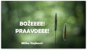 12540712_980394302041213_3165212300084641015_n