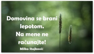 Skrenimo na pravi put Milko Stojković