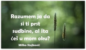 12549128_980391292041514_2849234482961256896_n (1)