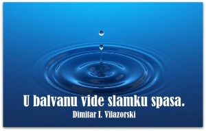 12552684_975346105879366_1889481766193840046_n