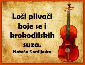 12647067_983363135077663_7683400679592886817_n