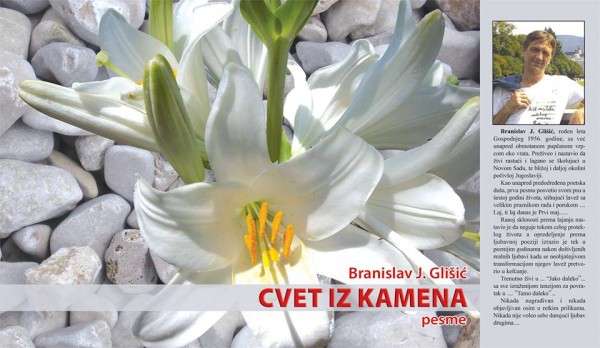 1383766_10202294357828847_1561754903_n