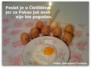 Dnevna doza aforizma