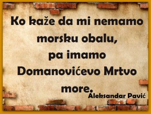 Skrenimo na pravi put Aleksandar Pavić