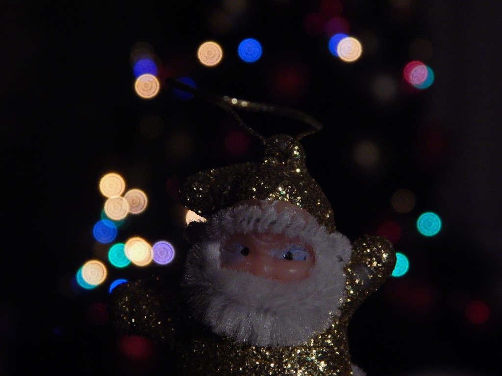 Foto: Neda Glišović