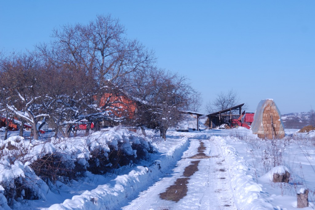 Засео Старо село