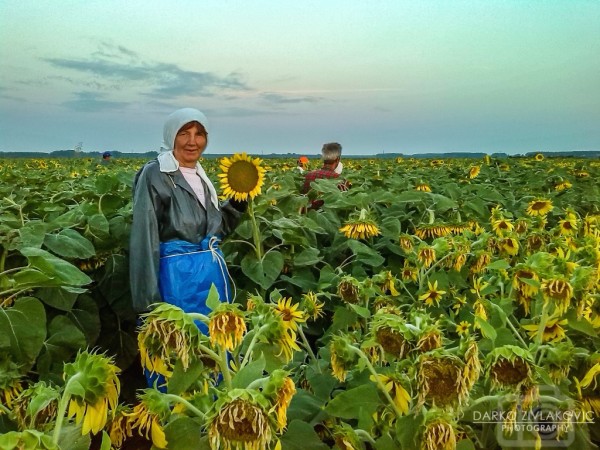 Foto: Darko Zivlaković