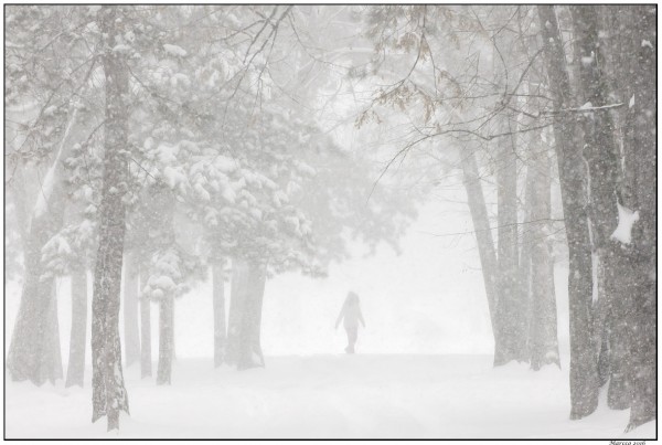 Foto: Marko Marković