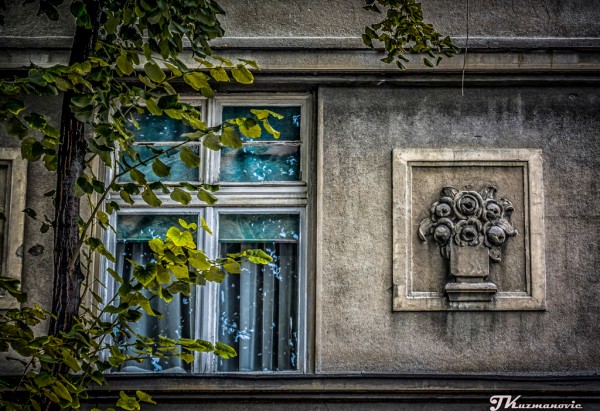 Foto: Jovana Kuzmanović