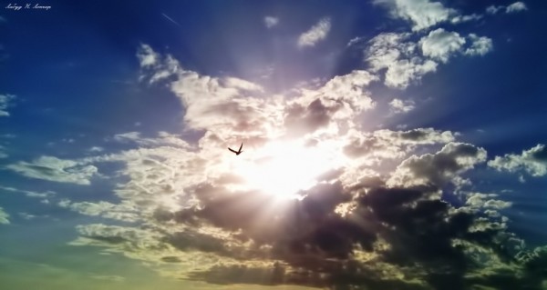 Foto: Labud N. Lončar