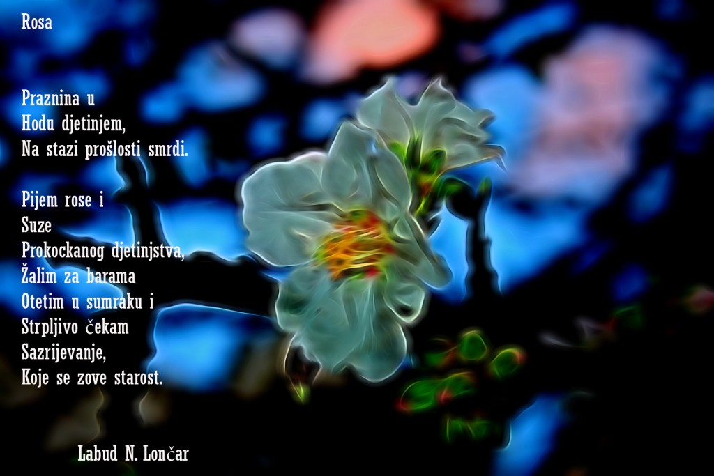 Foto: Labud N. Lončar