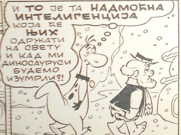 Foto: Mišo Koprivica