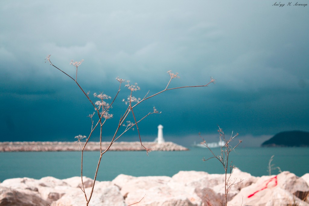 Foto: Labud N. Lončar