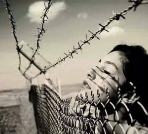 11377202_939341602784542_4009799995831251681_n