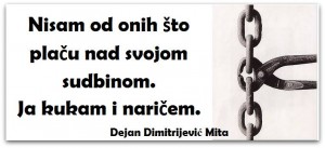 Skrenimo na pravi put Dejan Dimitrijević Mita