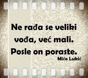 12654612_992260667521243_3496045898980600533_n