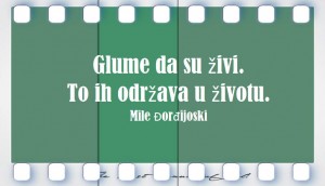 12715365_998096140271029_2262370809747954274_n