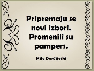 12717818_992111934202783_6382537577315931920_n