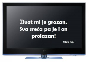 12742463_995841990496444_8157854416365045644_n