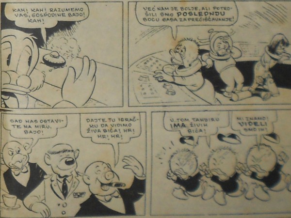 Foto: Mišo Koprivica