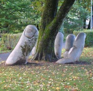 10308159_897252600338711_485218783694427407_n