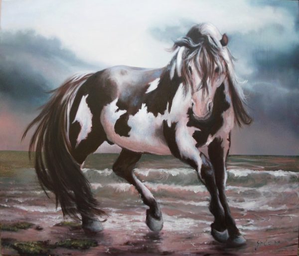 Autor: Dragana Simić