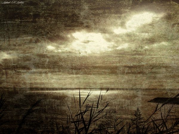 Foto: Labud N. Lončar