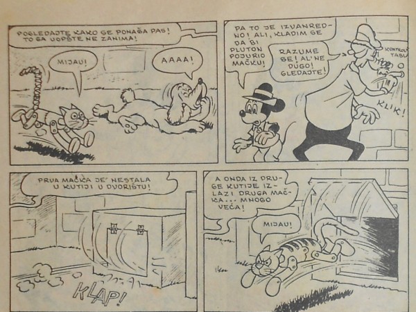 Foto: Mišo Koprivica