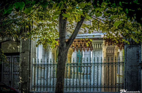 Foto: Jovana Kuzmanović