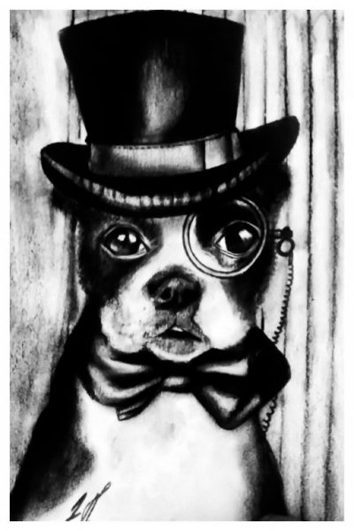 Autor: DRAGANA PAŠIĆ