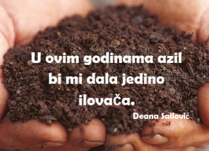 Deana Sailović COOLumna