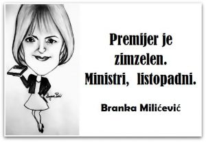 13015446_1036889426391700_1766306504332619214_n