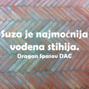 13062405_1039183739495602_5103363799662557533_n