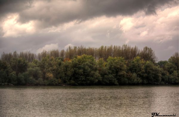 Foto: Jovana Kuzmanović