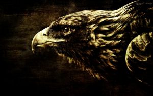 Foto: Labud N. Lončar