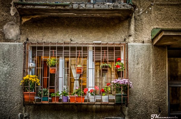 Foto: Jovana Kuzmanović