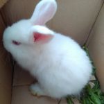 Foto: Marija Pašalić