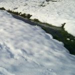 Foto: Marija Pašalić