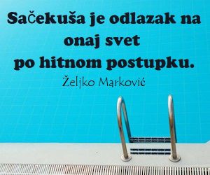 13133178_1048267335253909_4838504152580908807_n