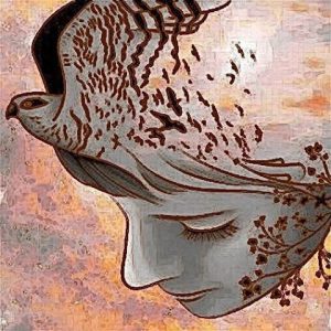 13138863_1710429539215408_6835209851531967388_n