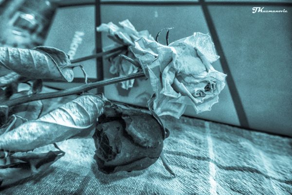 Foto: Jovana Kuzmanović