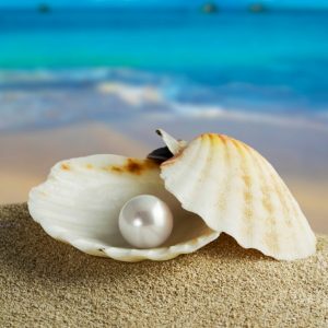 Pearl-in-shell_square