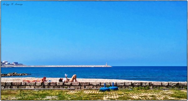 Foto: Labud N. Lončar