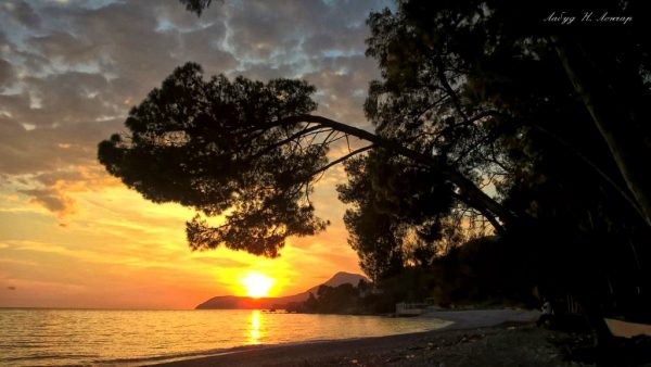 Foto: Labud N. Lončar