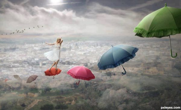 1005056_542950185768956_1765564425_n