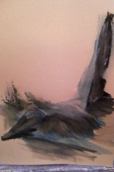 12734134_1002425829818919_9184453844393254861_n