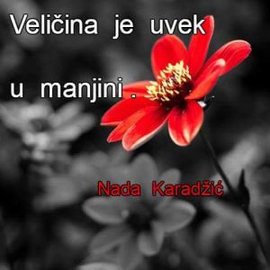 Dnevna doza aforizma