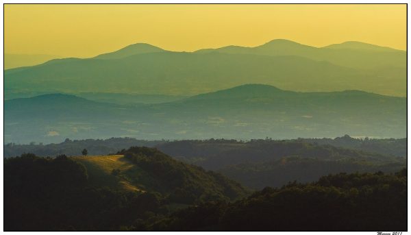 Foto: Marko Marković